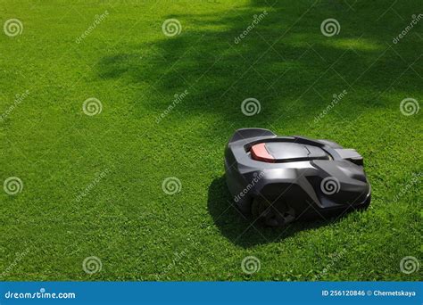 Modern Robot Lawn Mower on Green Grass in Garden Stock Photo - Image of ...