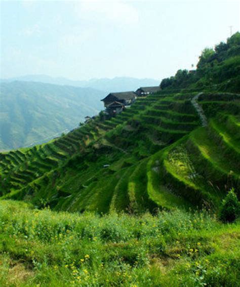 3 Day Longji Hiking Tour - Longji Rice Terraces Tours - Visit Guilin