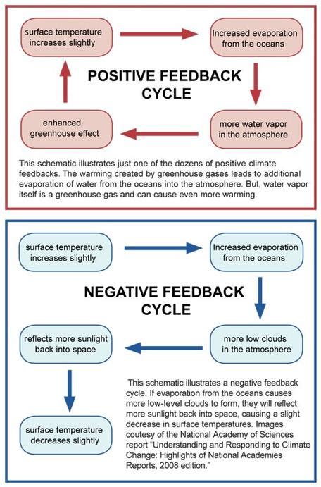 2C: Carbon Cycle Feedbacks