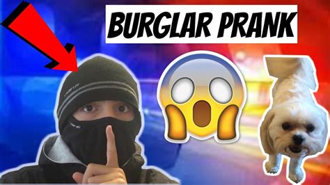 BURGLAR PRANK ON MY DOG!! - YouTube