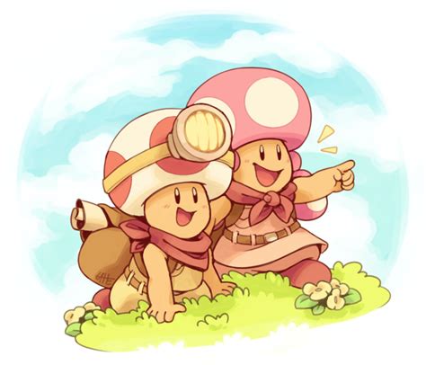 Let's Go Together with Captain Toad and Toadette | Super mario art, Mario art, Mario fan art