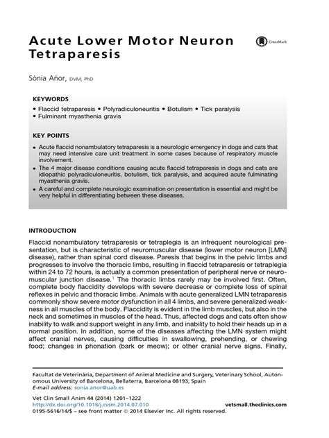 An Overview of Acute Lower Motor Neuron Tetraparesis: Causes, Clinical ...