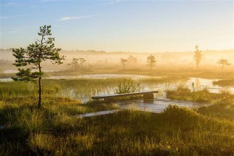 Top Things to do in Estonia for Nature Lovers | Estonia travel ...