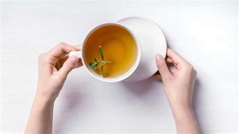 Tea for an Upset Stomach: 9 Types to Try