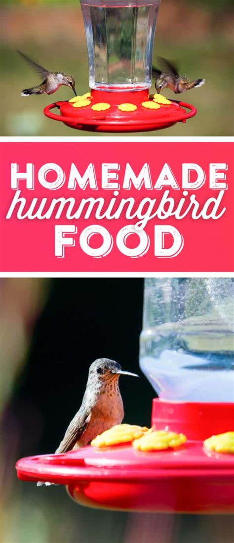 99 RECIPE HUMMINGBIRD NECTAR HOMEMADE