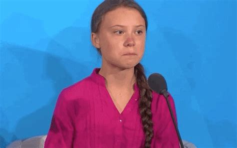 Teen activist Greta Thunberg testifies at House climate hearing - Page 1 - AR15.COM