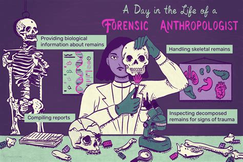 Forensic Anthropologist Job Description: Salary, Skills, & More