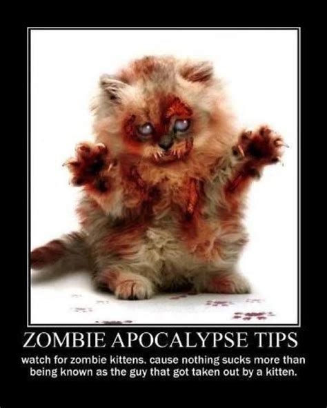 Zombie Kitties!!! | Zombie cat, Zombie, Zombie humor