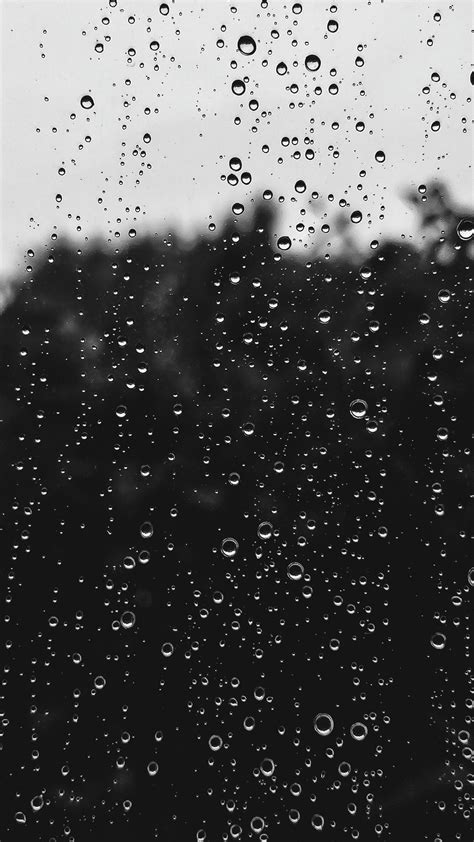 wet rain black and white and raindrop hd, 4k Phone HD Wallpaper