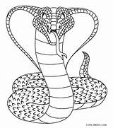 Printable Snake Coloring Pages sketch template