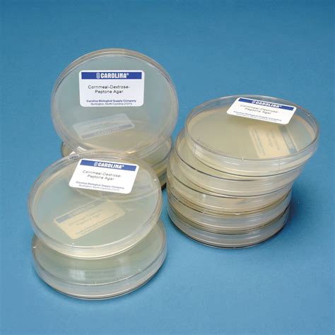 Cornmeal-Dextrose-Peptone Agar, One-Part Plates, 100 x 15 mm, Pack of 10 | Carolina.com