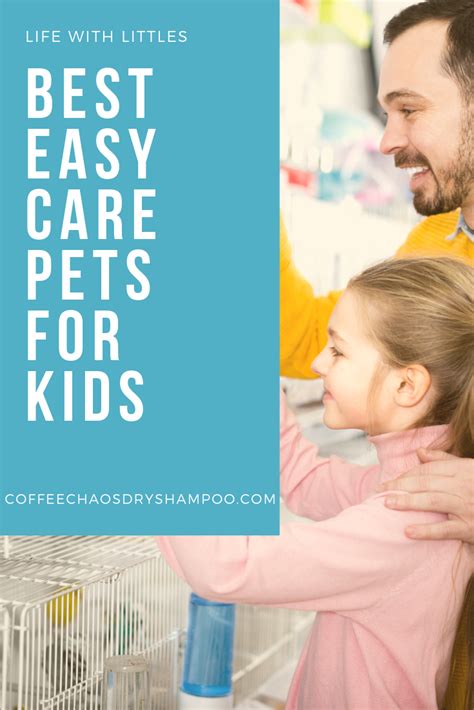 6 low maintenance pets that are easy to care for. Both moms and kids will love this list! | Low ...