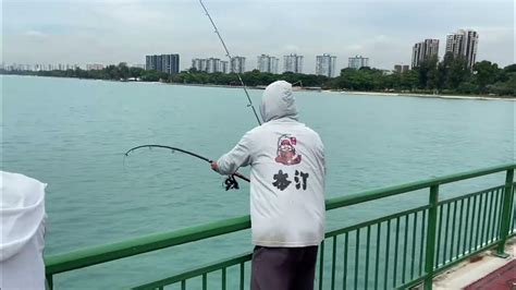 Bedok Jetty, nice size queenfish - YouTube