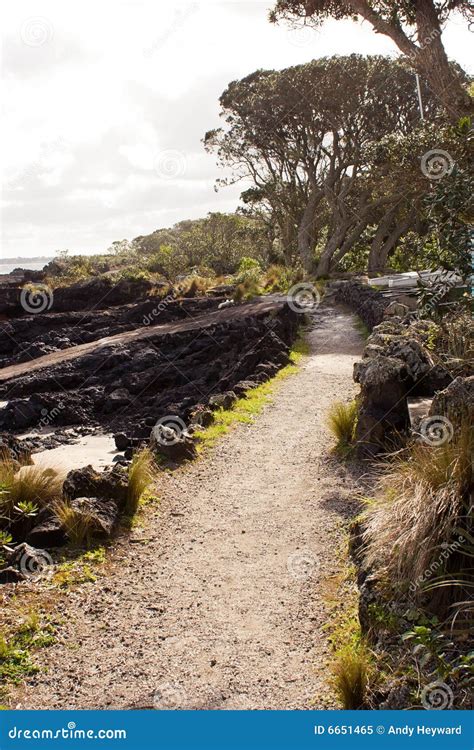 Path on Rangitoto Island stock image. Image of prison - 6651465