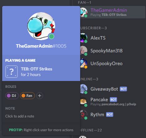 Primary roles – Discord