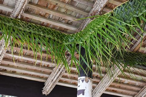 Fijian bure decoration : palm tree leaf woven together for wedding in ...