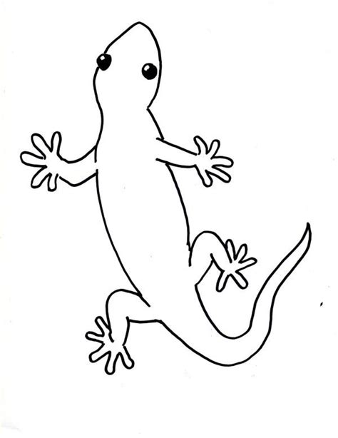 Draw a Gecko Step by Step - Samantha Bell | Lizard coloring pages ...