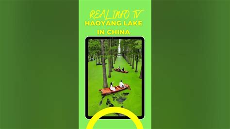 Haoyang Lake in China | Real Info TV - YouTube