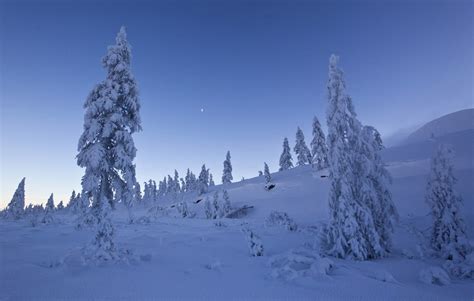 A Siberian Winter - The Atlantic