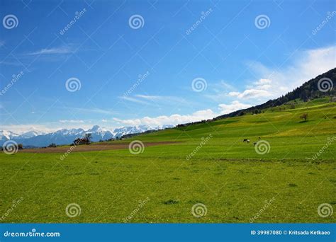 Swiss Landscape Countryside during Spring Stock Photo - Image of grass, summer: 39987080