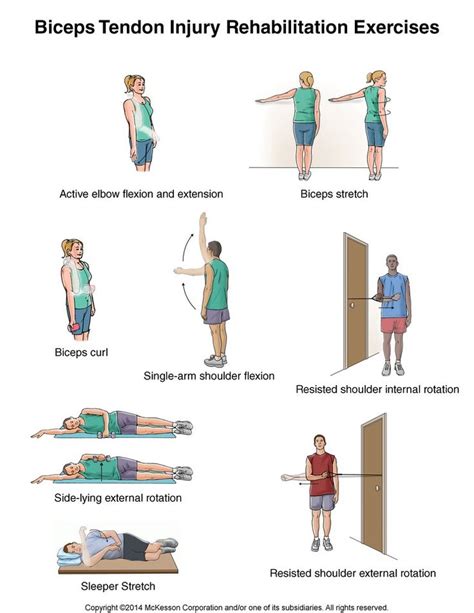 Maybe this will help. | Bicep tendonitis, Bicep tendonitis exercises ...