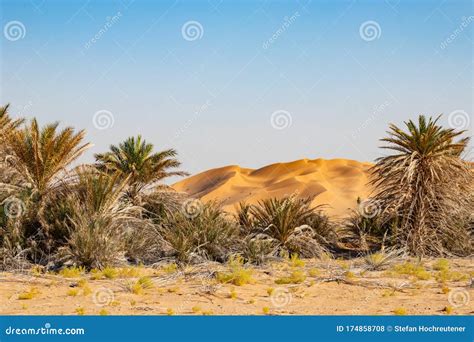 Oasis in the Desert of Rub Al Khali or Empty Quarter Stock Photo - Image of outdoor, khali ...