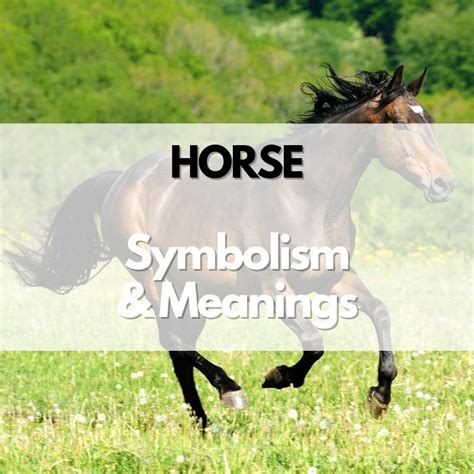 Horse: Symbolism, Meanings, and History - Symbol Genie