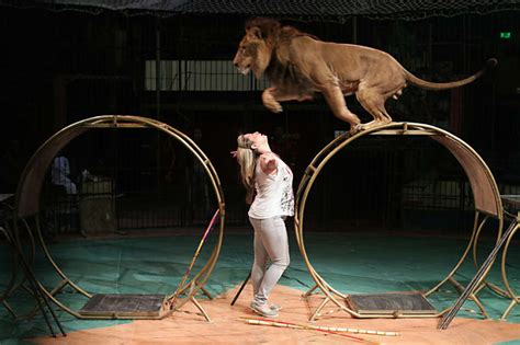 Female Circus Lion Tamer