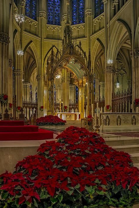 Saint Patricks Cathedral Photograph by Susan Candelario | New york city christmas, New york ...