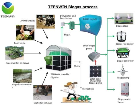 Diy Assembly Biogas Digester With Biogas Generator - Buy Biogas Digester,Diy Assembly Biogas ...