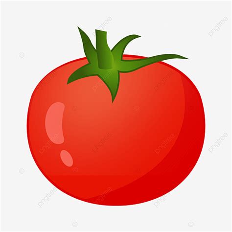 Vector Tomato Png