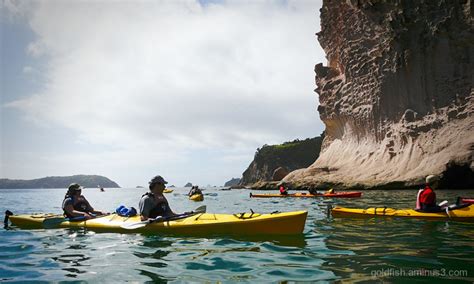 Kayaking @ Cathedral Cove - Sport & Recreation Photos - Jules's Photoblog