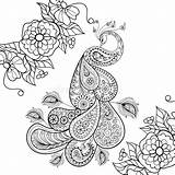 Image For Adult Coloring Page Stock Vector  Illustration Of Herb Boho sketch template