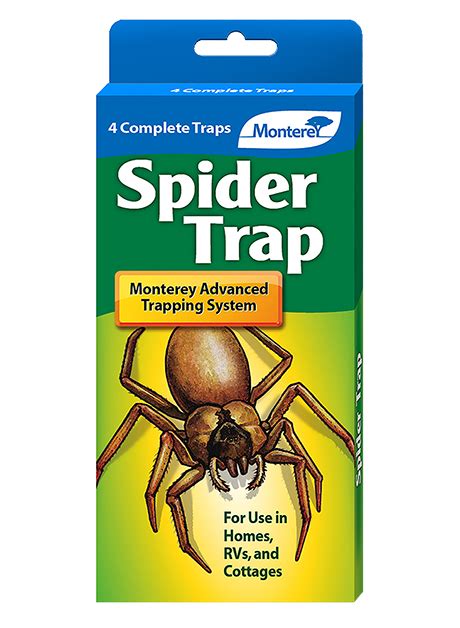 Spider Trap - Monterey Lawn & Garden