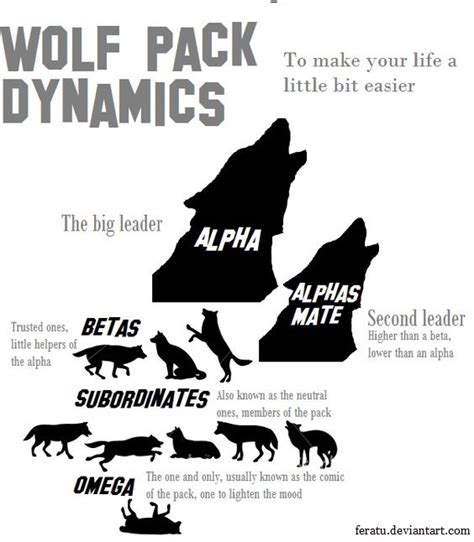 What It Takes To Survive When Meeting The Wolves | Survivopedia