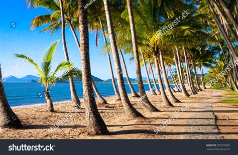 Cairns beaches Images, Stock Photos & Vectors | Shutterstock