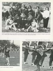 Shelton High School - Argus Yearbook (Shelton, CT), Class of 1985, Page 80 of 248