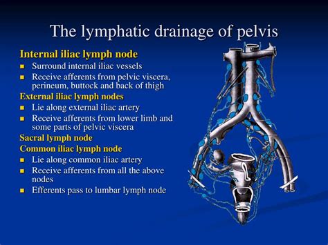 Pelvic Lymphatic Drainage