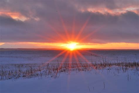 Happy Winter Solstice | Circle to Circle