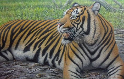 Bengal Tiger Painting by Vishi Dharmasiriwardena - Fine Art America