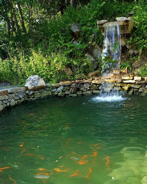 25 Small Ponds With Waterfalls Worth Adding to Your Yard (2023)