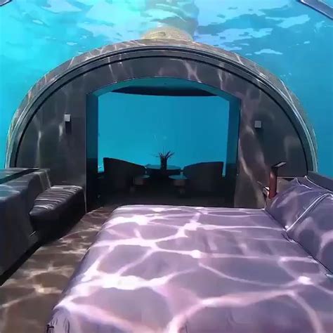 Easy Home Decorating Ideas [Video] | Underwater hotel, Underwater room ...