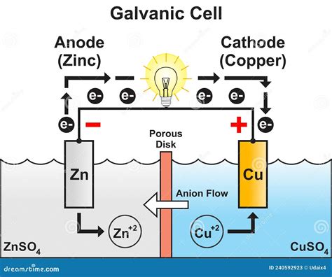 Galvanic Voltaic Cell Infographic Diagram Cartoon Vector ...