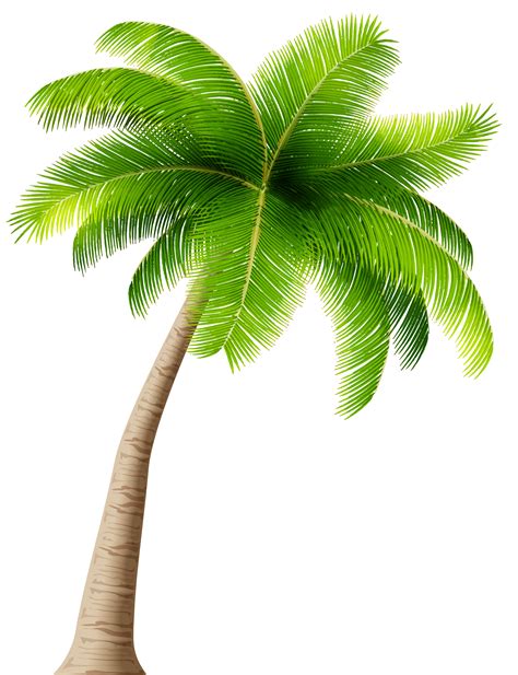 palm tree branches png - Quiana Naquin