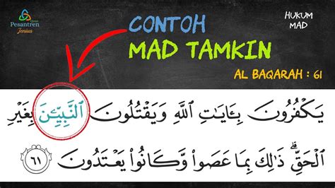 Pengertian Mad Tamkin dan Contohnya Dalam Al Quran beserta Ayatnya - YouTube