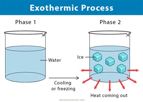 Exothermic Reaction: Definition, Equation, and Examples