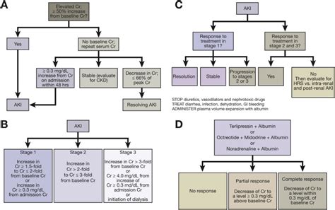 New Developments in Hepatorenal Syndrome - Clinical Gastroenterology ...