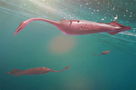Ancient 'Tully monster' was a vertebrate, not a spineless blob, study ...