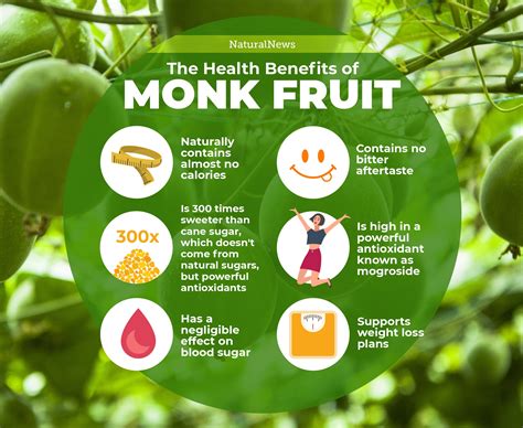 Why monk fruit is the best sugar substitute yet discovered