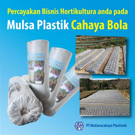 Mulsa Organik dan Anorganik, Cari Tahu Bedanya Yuk! - PT. Mutiaracahaya Plastindo